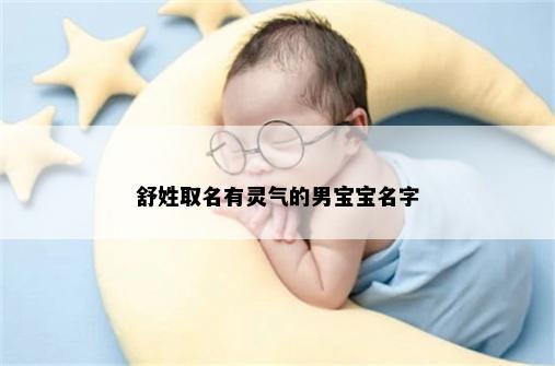 舒姓取名有灵气的男宝宝名字