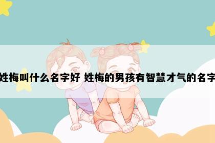 姓梅叫什么名字好 姓梅的男孩有智慧才气的名字